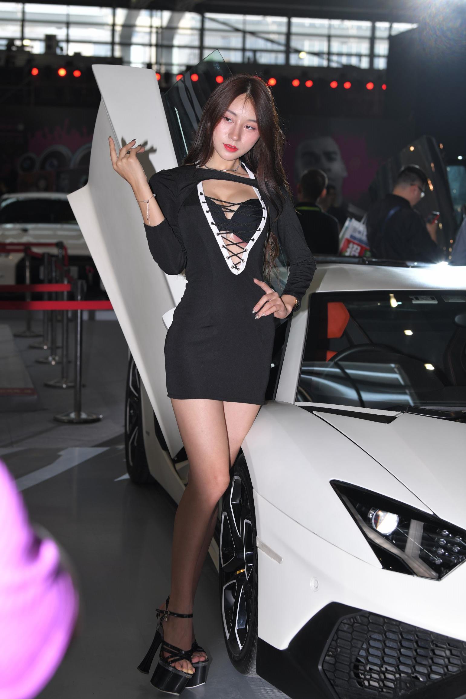 31583-wms41lhuq0q.jpg