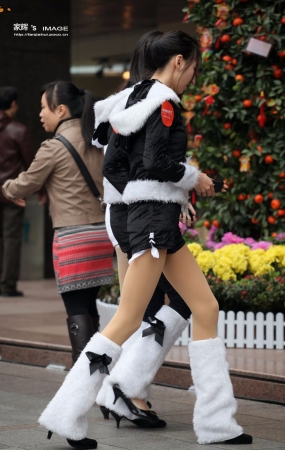 showgirl们二-20P