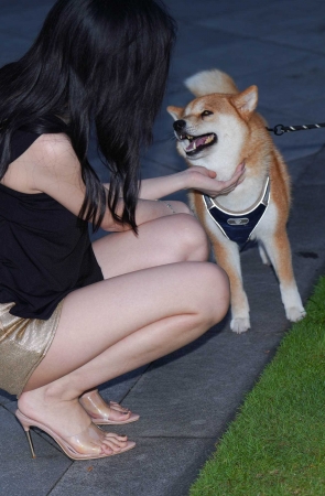 修长美腿
